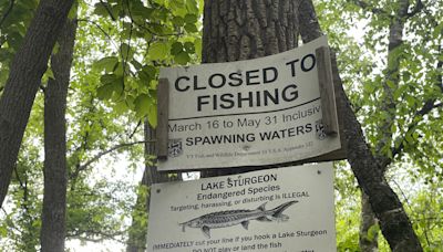 Hello summer - a reminder of waterfront best practices to preserve Vermont shoreland