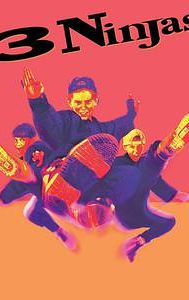 3 Ninjas (film)