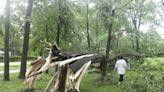 Estados Unidos: Un tornado golpea Michigan; tormentas en Ohio y Maryland dejan 13 heridos