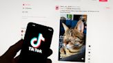 TikTok bows to European pressure and halts reward feature on new app in France and Spain