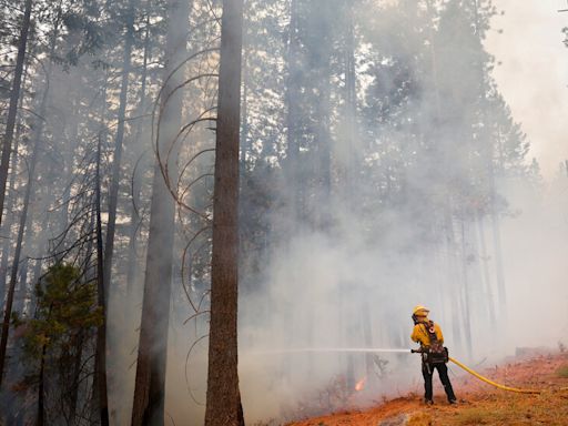 Park Fire in Northern California Grows to 350,000 Acres