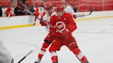 Which Detroit Red Wings prospects should we expect on next season's roster?
