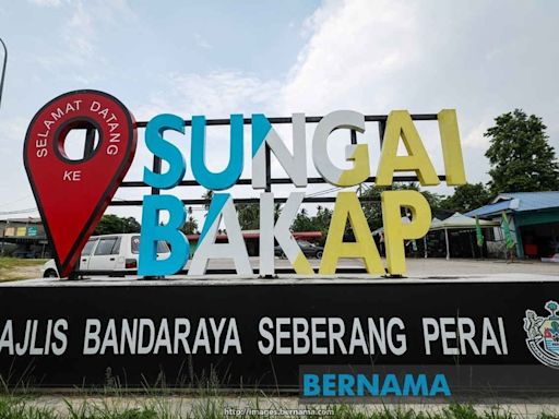 What you should know about: The Sungai Bakap by-election