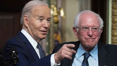 Bernie Sanders admits Biden 'is old, prone to gaffes'