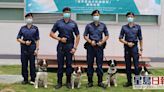 海關成立首支煙草搜查犬隊 派往機場及貨櫃碼頭等地執勤