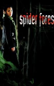 Spider Forest