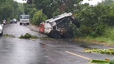 高屏清晨風雨大道路積水 路樹倒三千多戶停電