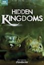 Hidden Kingdoms