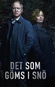 Det som göms i snö