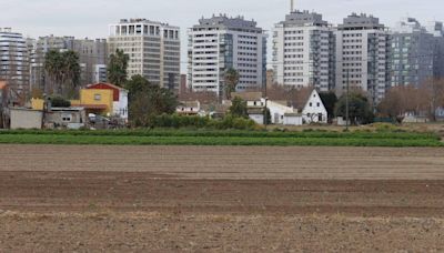 Medio Ambiente defiende la reforma de la ley de la Huerta: 'no habrá depredación del territorio'