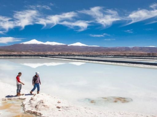 Aseguran que los minerales críticos tendrán mucha demanda en el mundo y Argentina lo tiene