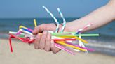 Plastic straws no longer a top concern on coastline litter list