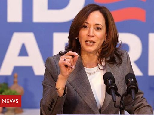 Como Kamala Harris bateu recorde de doações em um dia de campanha