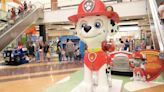 La Patrulla Canina al rescate en el Centro Comercial Arena