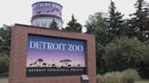 Recycle old electronics and get free admission to the Detroit Zoo