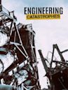 Engineering Catastrophes