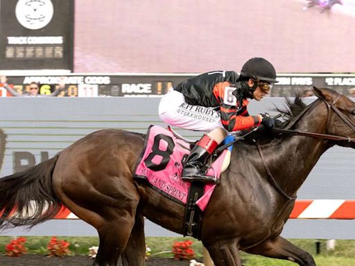 Equibase Analysis: The Chosen Vron Hopes to Repeat in Del Mar's Bing Crosby Stakes