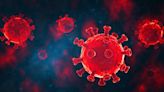 世衛專家小組：需對新冠病毒實驗室洩露說進一步調查