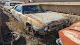 Junkyard Gem: 1967 Chevrolet Camaro