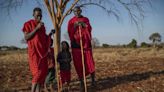 For the Serengeti's Maasai, a Bitter Irony Unfolds