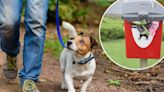 More than 200 complaints about dog poo reported in Sutton