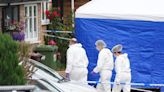 Screams heard as three women murdered in quiet suburban cul-de-sac