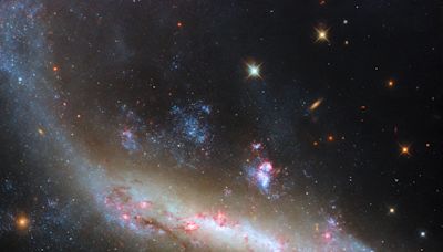 Spiral Spectacle: Hubble Explores a Cosmic Marvel in the Virgo Cluster