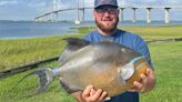 Brunswick angler sets new queen triggerfish record, second in two months