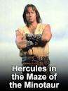 Hercules im Labyrinth des Minotaurus