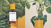 LOEWE’s New Home Fragrance Is Truly… Unexpected