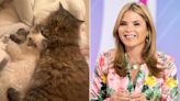 Jenna Bush Hager Says Her 2 Cats Are Getting Married This Weekend: ‘We’re Having a Ceremony’
