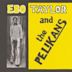 Ebo Taylor & The Pelikans