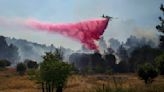 With temperatures and tensions soaring, forests are burning in Israel and Lebanon