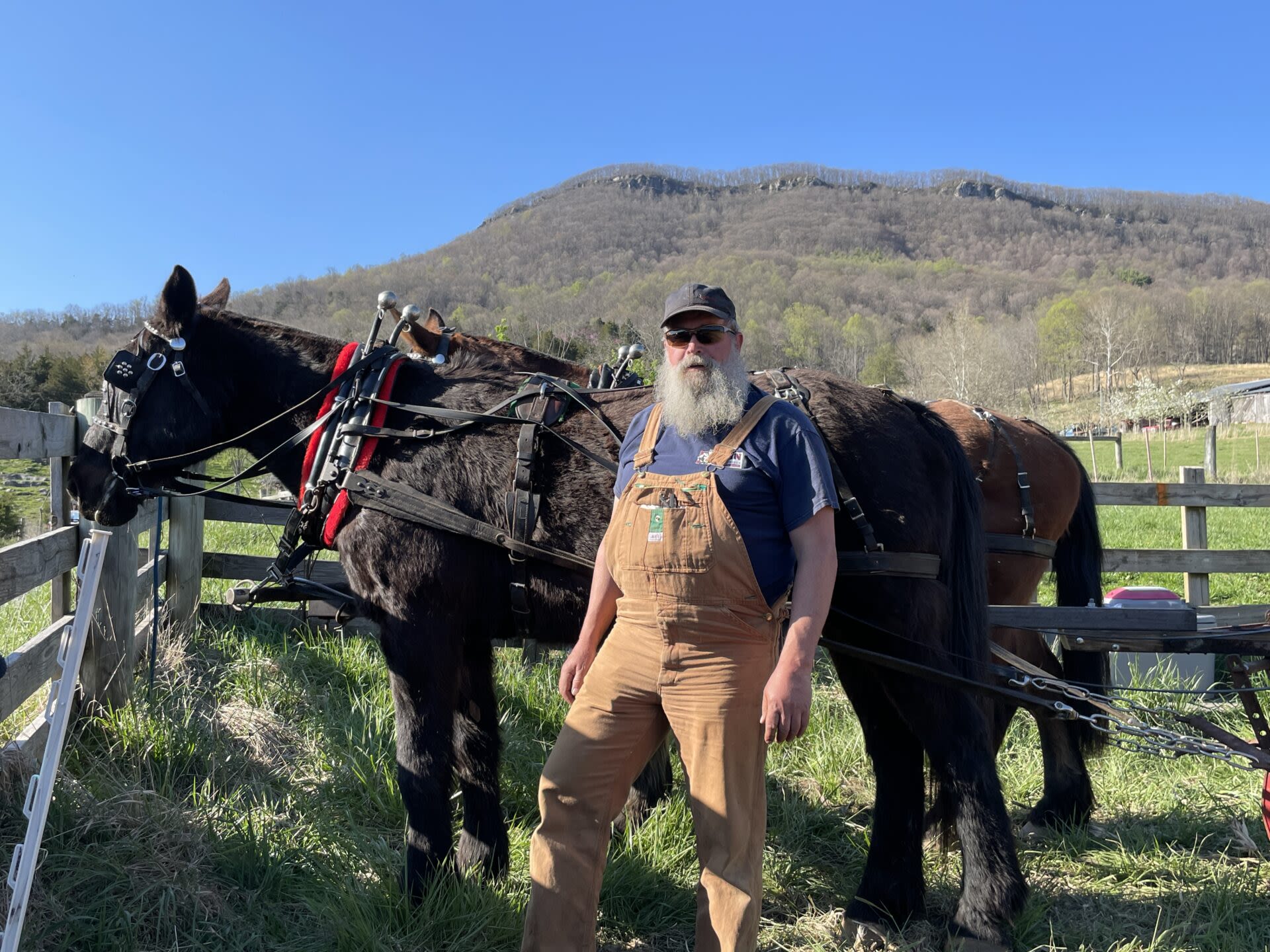 Workhorses And The Intimacy Of Spoons, Inside Appalachia - West Virginia Public Broadcasting