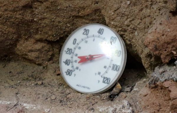 How much cooler is Fresno's underground gardens? We measured it with a laser