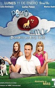 Perro amor (American TV series)