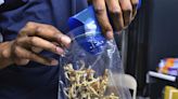 An Air Force Academy Cadet Pleaded Guilty to Using Magic Mushrooms. Is DoD Ready for the Drug's Legal Rise?