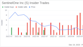 Insider Sell Alert: SentinelOne Inc CEO Tomer Weingarten Offloads 47,365 Shares