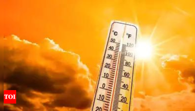 What are new US rules proposed to safeguard workers amid rising temperature: Details - Times of India