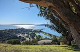 Miller/Knox Regional Shoreline