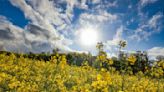 Wetterbesserung in Sicht - Temperaturen steigen