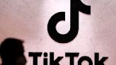 TikTok creators sue U.S. government in a bid to stop potential ban