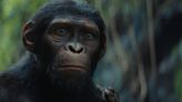 How a Village Comes to Life in ‘Kingdom of the Planet of the Apes’