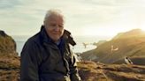 No sixth episode for Sir David Attenborough’s Wild Isles, BBC says