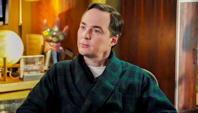 Big Bang Theory Fans On Reddit Want This Prequel After Young Sheldon - Looper