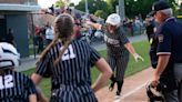 Central Pa. spring teams opened the state playoffs Monday. Here's how they fared