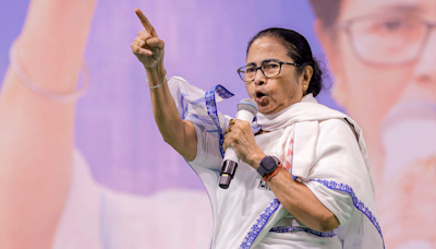 Mamata Banerjee Can Comment On Bengal Governor But Within Legal Limits: Calcutta HC