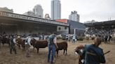 Rural de Palermo: una tribuna expectante frente a los desafíos que se abren para el futuro