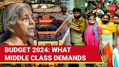 What Indian Middle Class Expects From Budget 2024 | Subhash Chandra Garg Explains