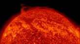 Enormous 'polar vortex' on the sun is unprecedented, scientists say
